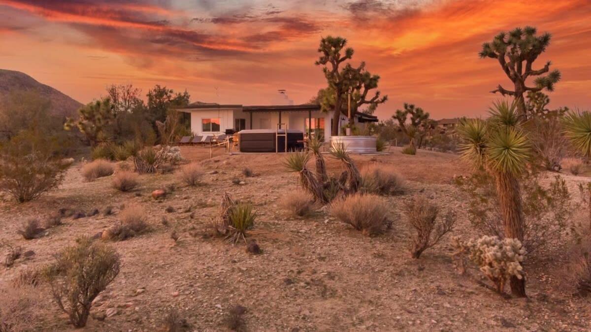 הוילה יוקה ואלי Kinetic House-Joshua Trees Sculptures Cowboy Pool מראה חיצוני תמונה